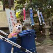 のの 昨日のお礼 渋谷 風俗 奥様発情の会