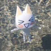 ヒメ日記 2026/04/05 08:34 投稿 かえで 埼玉本庄ちゃんこ