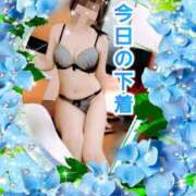 ヒメ日記 2026/09/03 11:33 投稿 小春 えみか こあくまな熟女たち徳島店(KOAKUMAグループ)