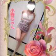 ヒメ日記 2026/10/18 19:30 投稿 小春 えみか こあくまな熟女たち徳島店(KOAKUMAグループ)
