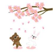 河村ともえ(かわむらともえ) はじめまして 五十路マダムエクスプレス厚木店(カサブランカグループ)