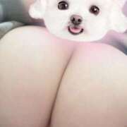 ヒメ日記 2026/04/04 14:34 投稿 りりあ ふわふわコレクション