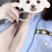 ヒメ日記 2026/04/20 19:37 投稿 りりあ ふわふわコレクション