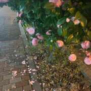 ヒメ日記 2026/04/20 14:42 投稿 東条じゅり 全裸にされた女たちor欲しがり痴漢電車