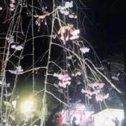 ヒメ日記 2026/04/10 01:21 投稿 ちはる 水戸ソープランド　水戸スリーナイン(9990)