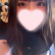 えの 写真ない😿 私のブラジャーどこいった？