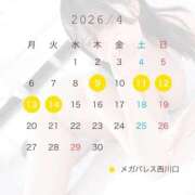 ヒメ日記 2026/04/07 15:03 投稿 ルル MEGA PALACE(メガパレス）