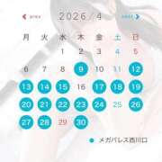 ヒメ日記 2026/04/14 21:03 投稿 ルル MEGA PALACE(メガパレス）