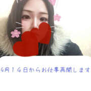 ヒメ日記 2026/04/12 15:29 投稿 しき ちゃんこ東大阪 布施・長田店