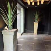 ヒメ日記 2026/04/06 15:36 投稿 四葉 昼顔妻 五反田店