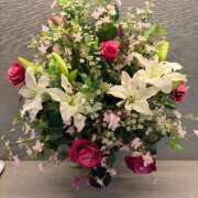 ヒメ日記 2026/04/08 17:26 投稿 四葉 昼顔妻 五反田店