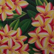 ヒメ日記 2026/04/08 22:36 投稿 四葉 昼顔妻 五反田店