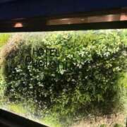 ヒメ日記 2026/04/15 23:36 投稿 四葉 昼顔妻 五反田店