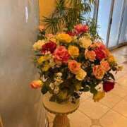 ヒメ日記 2026/04/27 10:09 投稿 四葉 昼顔妻 五反田店