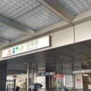 ヒメ日記 2026/05/08 17:16 投稿 四葉 昼顔妻 五反田店