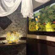ヒメ日記 2026/06/15 18:16 投稿 四葉 昼顔妻 五反田店