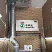 ヒメ日記 2026/08/20 09:41 投稿 四葉 昼顔妻 五反田店