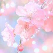 ヒメ日記 2026/04/15 16:11 投稿 なずな ピンクコレクション大阪キタ店