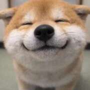 ヒメ日記 2026/04/17 13:09 投稿 なずな ピンクコレクション大阪キタ店