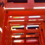 ヒメ日記 2026/05/09 12:03 投稿 なずな ピンクコレクション大阪キタ店