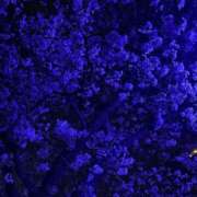 ヒメ日記 2026/04/06 03:56 投稿 ちはやちう イクイクサークル鶯谷店