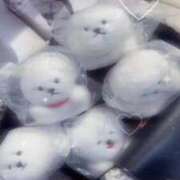 ヒメ日記 2026/04/21 10:16 投稿 ちはやちう イクイクサークル鶯谷店