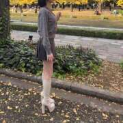 ヒメ日記 2026/09/15 21:15 投稿 すい Garter Princess＆Mrs（ガータープリンセス＆ミセス）