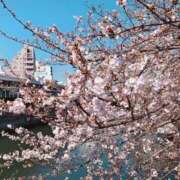 はるひ ありがとうございました😊 もしも清楚な20、30代の妻とキスイキできたら横浜店