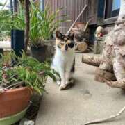 ヒメ日記 2026/04/17 00:26 投稿 片平　ゆり エンジェルコースト