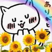 ヒメ日記 2026/04/09 22:13 投稿 ひいろ 熟女の風俗最終章 本厚木店