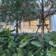 香坂理佐 ご予約有難うございます 五十路マダム　和歌山店