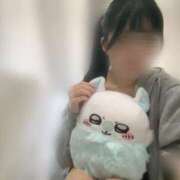 ヒメ日記 2026/04/13 11:00 投稿 春木　かな 響-HIBIKI-