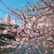 はるひ ありがとうございました? もしも素敵な妻が指輪をはずしたら・・・