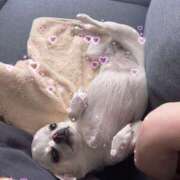 ヒメ日記 2026/04/18 13:15 投稿 なつき 所沢デリヘル桜