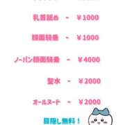 ヒメ日記 2026/04/25 15:39 投稿 さくら もしもし亀よ亀さんよ 名古屋店
