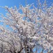 ヒメ日記 2026/04/06 21:02 投稿 ゆうき 奥様鉄道69 岡山店