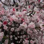 ゆうき おはようございます 奥様鉄道69 岡山店