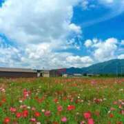 ヒメ日記 2026/08/30 14:02 投稿 ゆうき 奥様鉄道69 岡山店