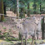 ヒメ日記 2026/04/04 22:18 投稿 さりな 濃厚即19妻