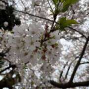 ヒメ日記 2026/04/05 16:14 投稿 さりな 濃厚即19妻