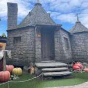 ヒメ日記 2026/04/20 12:32 投稿 さりな 濃厚即19妻