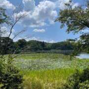 ヒメ日記 2026/04/21 14:24 投稿 さりな 濃厚即19妻