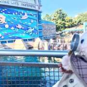 ヒメ日記 2026/04/21 22:01 投稿 さりな 濃厚即19妻