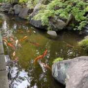 ヒメ日記 2026/05/09 22:44 投稿 さりな 濃厚即19妻