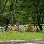 ヒメ日記 2026/05/31 17:54 投稿 さりな 濃厚即19妻