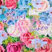 羽賀～HAGA～ 🗓予定🔖 BBW 西川口店