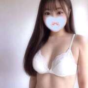 ヒメ日記 2026/04/16 15:47 投稿 せりか 超絶破格の激安えろ風俗店ぷらいす