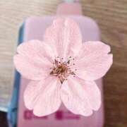 ヒメ日記 2026/04/15 19:46 投稿 体験べべ 多恋人倶楽部　宇部店