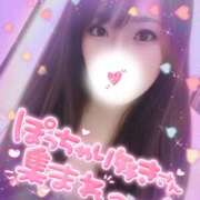 ヒメ日記 2026/04/12 10:59 投稿 ふわり 超絶破格の激安えろ風俗店ぷらいす