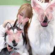 ヒメ日記 2026/04/14 17:44 投稿 える たっぷりHoneyoilSPA福岡中洲店